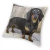 Kudde söt Dachshund Dog Throw Case Decoration Sausage Wiener Badger Dogs Cover 40x40cm Pillowcover för vardagsrum