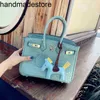 Genuine Leather Bk Designer Handbag Platinum Bag Crocodile Pattern Leather New Retro Fashion Female Sakura Pollen Portable Lock