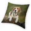 Cuscino carino beagle cane custodia per la casa decorazioni per la casa cover lancio per la stampa a doppia faccia