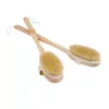 Bath Sdotter 42x7cm exfoliant en bois Massage du corps Brosse Brosse Natural Bristle Bath Brusque Spa femme homme Skin Care Corps Back Massage