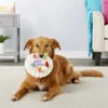 Husdjur Dog Toy Cute Birthday Cake Squeaky Toys Bite Resistant Bone Shape Stuffed Cat Puppy Chew Interactive Accessories 240328