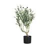 Flores decorativas de oliveira artificial 60/90cm