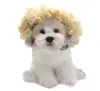 Dog Apparel Pet Wig Cat and Costaly adereços cobrem acessórios de capas