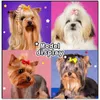 Abbigliamento per cani 20pcs colorato fiocchi per capelli a filo per capelli puri per cani per cima di cucciolo cucciolo cucciolo cucciolo di toeletta