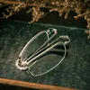 Ny vikning Portable Metal Frame Glass Reading Glasses Scratch Resistent Jianghu HD Reading Glasses Partihandel