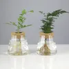 Vases vase de terrarium végétal avec couvercle en verre de plantation d'eau claire pour décoration d'étude du bureau à domicile