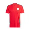 2024 25 Bale Wales Soccer Jerseys Wilson Allen Ramsey Jame24 25 Copa da equipe nacional mundial Rodon Vokes Home Football Shirt Uniforms Fans versão