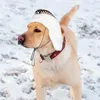 Cappelli di abbigliamento per cani Regolabile inverno con auricolari per copricapo traspirante percotette per il trapper per piccoli cani animali domestici