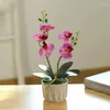 Decorative Flowers Two Forks 5 Phalaenopsis Bonsai Green Plant Simulation Pot Ceramic Artificial Home Indoor Office Decoration