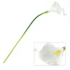 Decorative Flowers 1/10pcs Artificial White Fake Calla Lily Home Decor Wedding Bridal Bouquet Table Flower Vase Arrangement