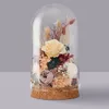 Storage Bottles Glass Dome With Base Clear Cloche Globe Display Bell Jar 5Pcs Cake Stand Dessert Plate Decorative Cover For