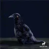 Crow Anime Cute Raven Plushie Corvus Corax Plush Toys Lifelike Animals Simulation Stuffed Doll Kawai Toy Gifts Kid 240321