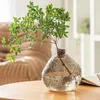 Vaser lyxiga ornament blomma arrangemang blommor glas hem dekoration terrarium