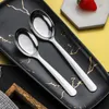 Disposable Flatware Stainless Steel Fruit Fork Spoon Long Handle Ice Cream Salad Dessert Tableware Convenient Western Multi-Function Silver