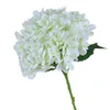 Dekorativa blommor Delikat konstgjorda blommor ekovänliga falska inte visnade arrangemang Stor hortensior Silk