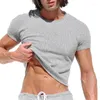 Erkekler Tişörtleri Moda düz renkli şeritli üstler Erkek yaz plajı nefes alabilen ince fit mahsul gömleği erkekler kısa kol o boyun gündelik kazakları