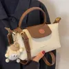 Maillard Style Fashion Bag 2023 Nieuwe dames crossbody dumpling tas herfst wintertortels en handtassen luxe ontwerper mini -tas