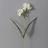 Decoratieve bloemen 64 cm cymbidium hybridum orchidee zijden kunstmatige decoratie indie kamer decor flores kunstmatige huis