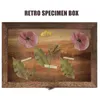 Ramar Vintage Prov Box Dammtät insekt Displayfodral Träfjärilar Holder Frame Torkat blommor förvaringsskåp