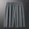 Men's Shorts Casual Solid Color Ice Silk Oversized With Elastic Drawstring Sports Nylon True Feeling Air-conditioned Pan