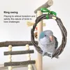 Autres fournitures d'oiseaux Birgus de jeu Résistant aux morsures Cage Birds Échelle de jouets Swing et plateau pour les carreft