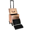 Casmetic Case Professional Makeup artiste Trolley Grande capacité Multi-couche Manucure Box Tattoo Toolbox Storage Manucure Artiste