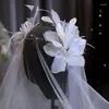 Clipes de cabelo faixas de cabelo românticas Mulheres acessórios Capacete de casamento Vestido de cabelo de penas de penas de penas Princesa Bandas de cabeça AN398