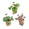 Decoratieve bloemen kunstmatige bloem nep klimop bladeren groen planten simulatie koper munt gras gras desktop mini pot bonsai planten voor thuis