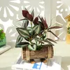 Decorative Flowers Wooden Basin Simulation Green Plant Bonsai Fake Flower Silk Screen Leaf Home Furnishings Office Desktop Decor