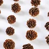 Fleurs décoratives 20pcs attrayants faux pin pins naturels simulation pinecone artificielle pour la décoration de la maison du festival