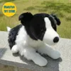 Border Collie Plush Toy Plushie Shepherd Dog Peluche Lifelike Stuffed Animals Simulation Doll Kawai Toys Gifts Kid 240325