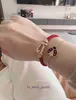 Colar de gama de ponta New Vanclef Clover Colar Ladybug Bracelet Bracelet Womens Alta Versão High