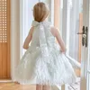 light luxury dresses niche high-end flower girl princess dresses piano performance costumes for small hosts