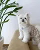 Собачья одежда монос a cuadros con tirantes Mascotas ropa perros cuatro patas disfraz estampado vintage chaleco