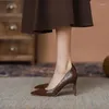 Elbise ayakkabıları 2024 bahar kadın seksi yüksek topuklu ince topuk sivri sığ ağız çalışması