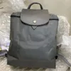 2024 Luxury avec sac à dos en nylon ajusté en nylon pour femmes Fashion de loisirs adaptée aux déplacements et à l'école