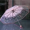 Guarda-chuvas dobrável cereja guarda-chuva transparente transparente três 8 costela à prova de vento mulheres chuva est