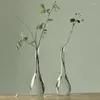 Vastes Verre transparent pour bouteille de plante Vase de fleurs zen japonaise