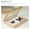 Frames Butterflies Specimen Case Insect Storage Picture Display Stand Wooden Showcase Glass Metal Vintage