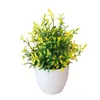 Decorative Flowers Artificial Potted Small For Shelf Green In White Plastic Pot Home Bathroom Decor Faux Wedding Stage Decorations