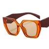 Sunglasses Oversized Candy Color Sun Protection Anti-Glare Glasses For Street Shooting Fashion Props