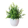 Decorative Flowers Artificial Potted Small For Shelf Green In White Plastic Pot Home Bathroom Decor Faux Wedding Stage Decorations