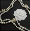 Новый высококачественный легкий роскошный кулон ожерелье Пара ожерелье стиль жемчуг длинный свитер цепочка ожерелье стиль Рождественский подарок