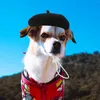 Hundkläder födelsedagsdekoration för tjej husdjur hatt härlig huvudkläder ull valp tillbehör kattdräkt cap