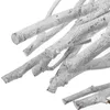 Decorative Flowers 10 Pcs Artificial Plants 50 Cm Dried Twigs And Branches For Vases Tree Dry Stems White