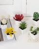 Fleurs décoratives 1set décoration de maison - 6 petites plantes succulentes succulentes 23005ZH6