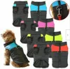 Abbigliamento per cani 1pc giacca da pet per animali