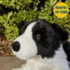 Border Collie Plush Toy Plushie Shepherd Dog Peluche Lifelike Stuffed Animals Simulation Doll Kawai Toys Gifts Kid 240325