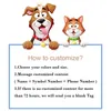 Dog Tag 2024 Gepersonaliseerde zeshoekige naam ID Cat roestvrij staal Pet Anti-Most Puppy Accessoires Honden Kraag aangepast