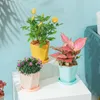 2024 1 Pcs Plastic Resin Flower Pots New Geometric Nordic Simple White Thickened Green Radish Fleshy Flowerpots Indoor Plants for Resin